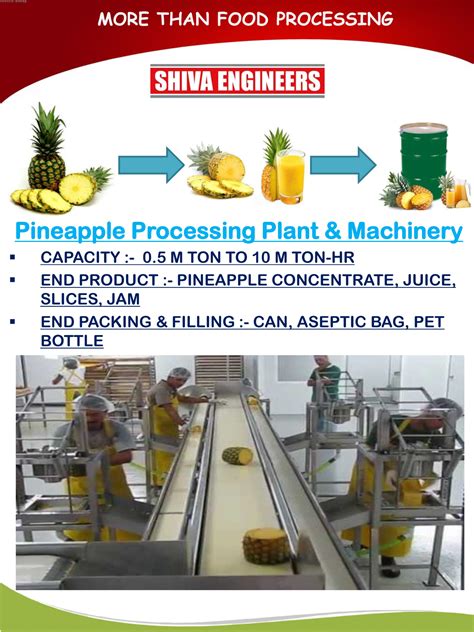 pineapple processing machinery|Pineapple Processing Line .